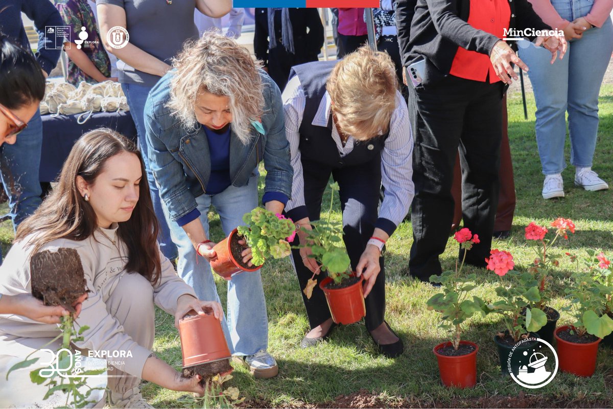 Explora Región Antofagasta tweet media