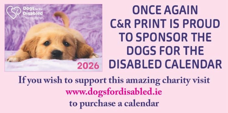 DogsForTheDisabled tweet media