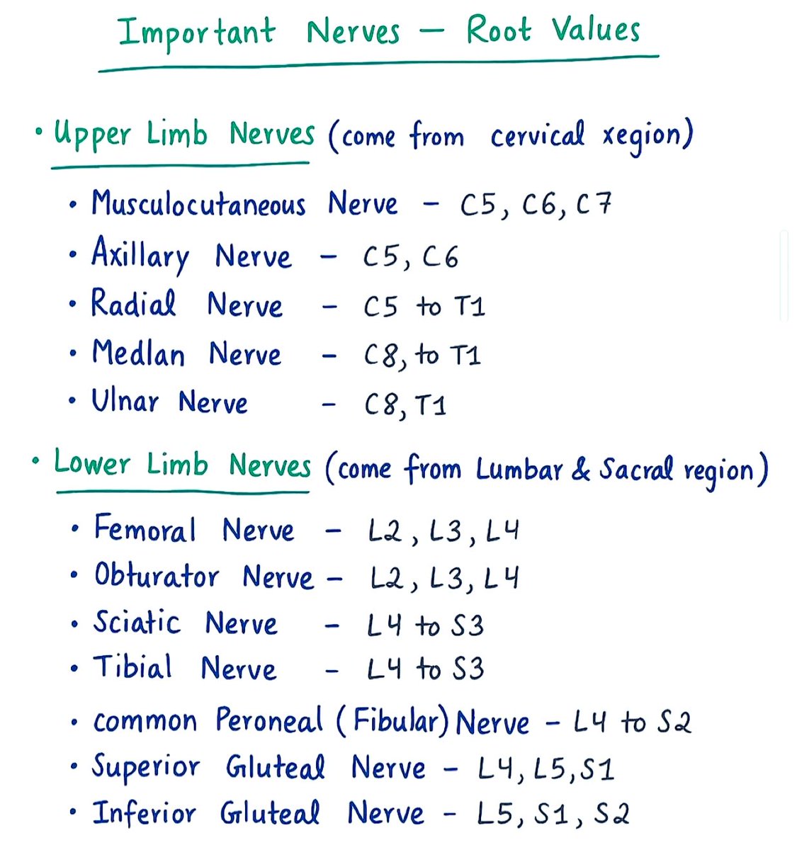 DrPharmDMDTh's tweet photo. Important Nerves - Root Values https://t.co/F5a216XdzH