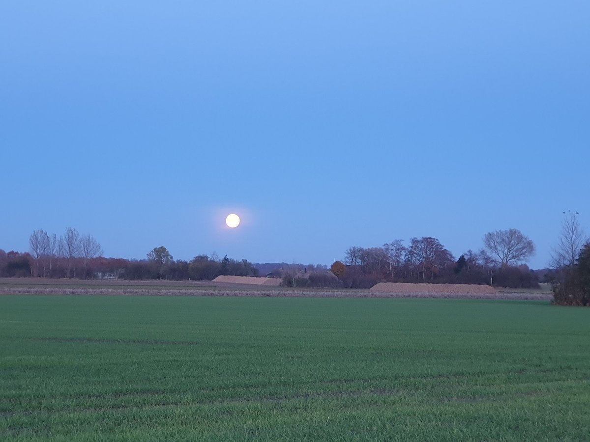 MoAnja2's tweet image. Noch hell, aber mit riesigem (kæmpe stor😜) Mond.