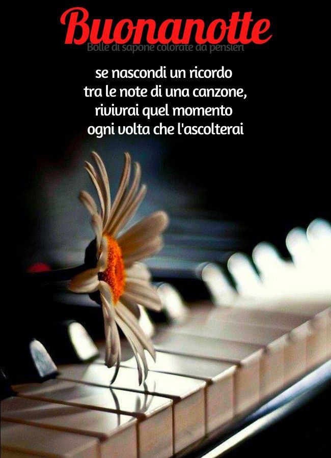 Rita Armandi (@armandirita11) on Twitter photo 