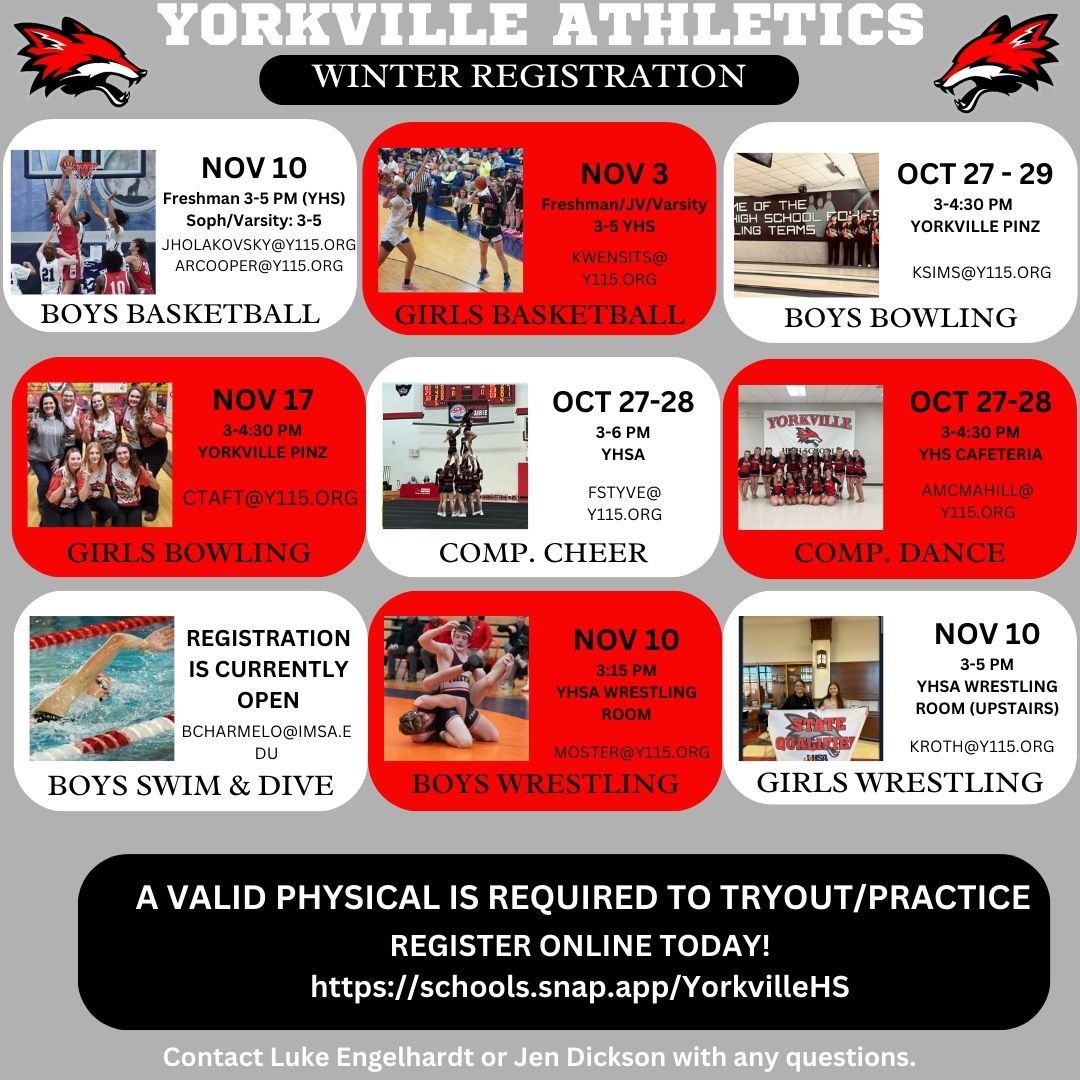 Yorkville Foxes tweet media