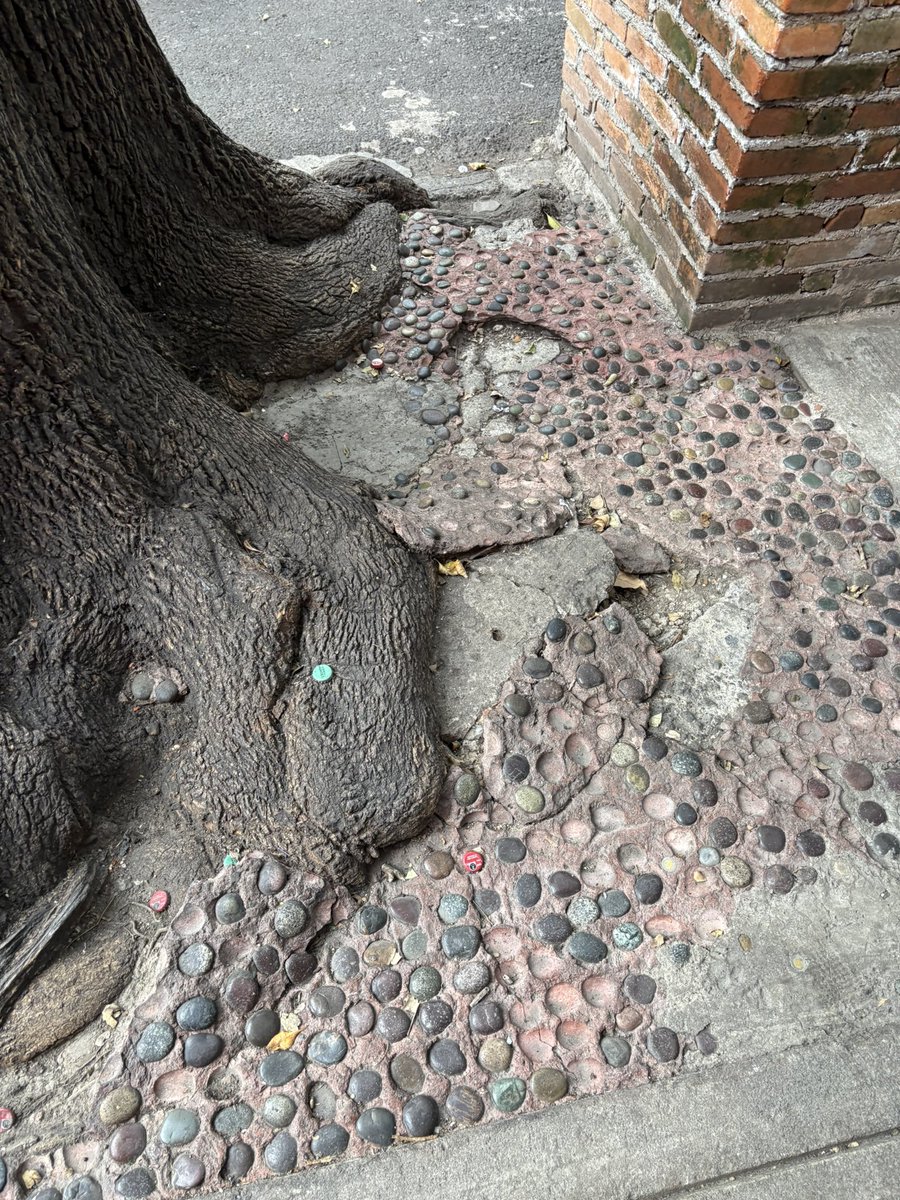 María Elena Saldaña tweet media