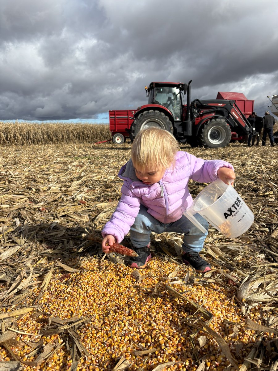 It’s been a busy day in the fields so far - and we’re not done yet!
#ReachFor300🌽 #ontag