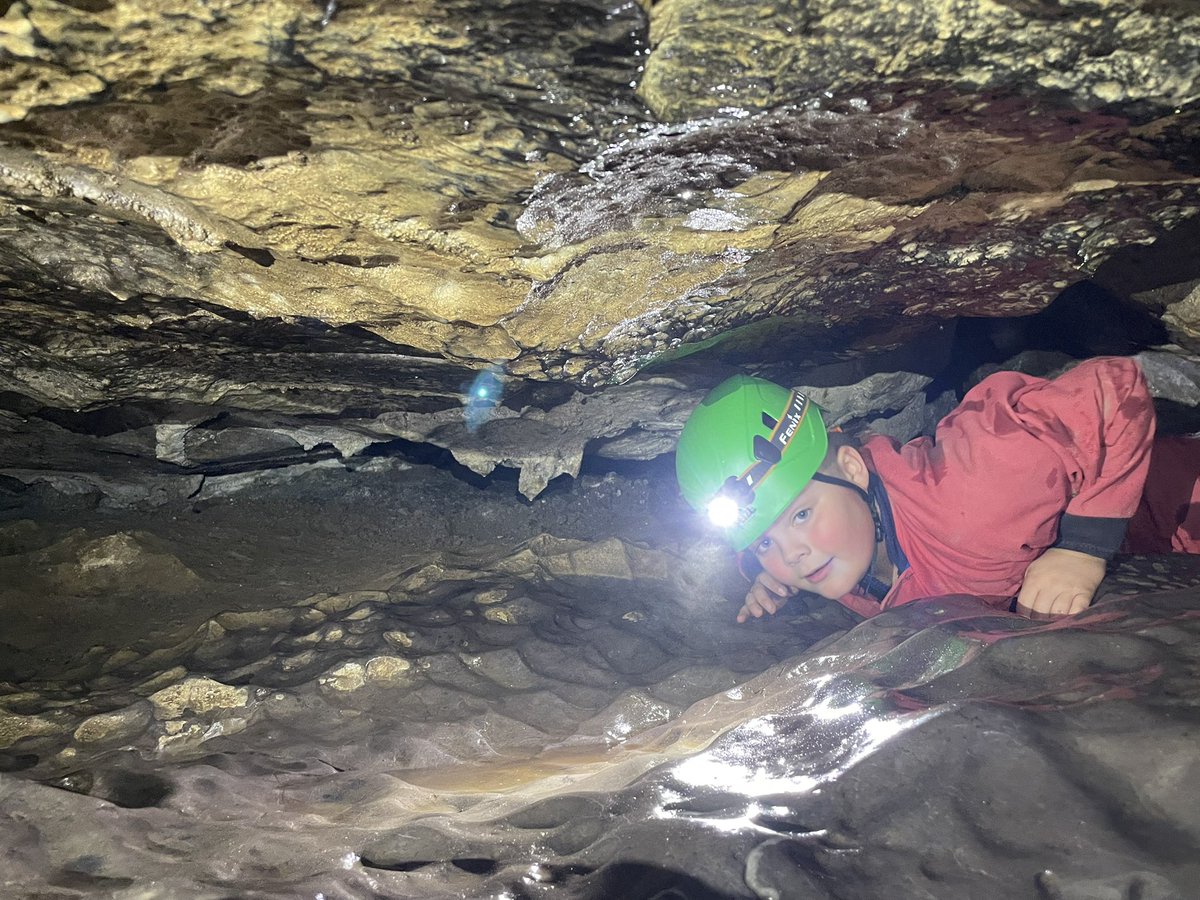 Cliffe House tweet media