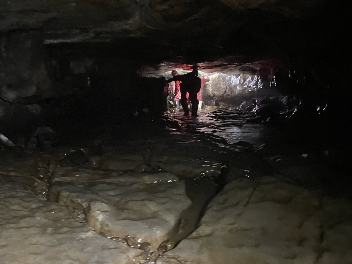 Cliffe House tweet media