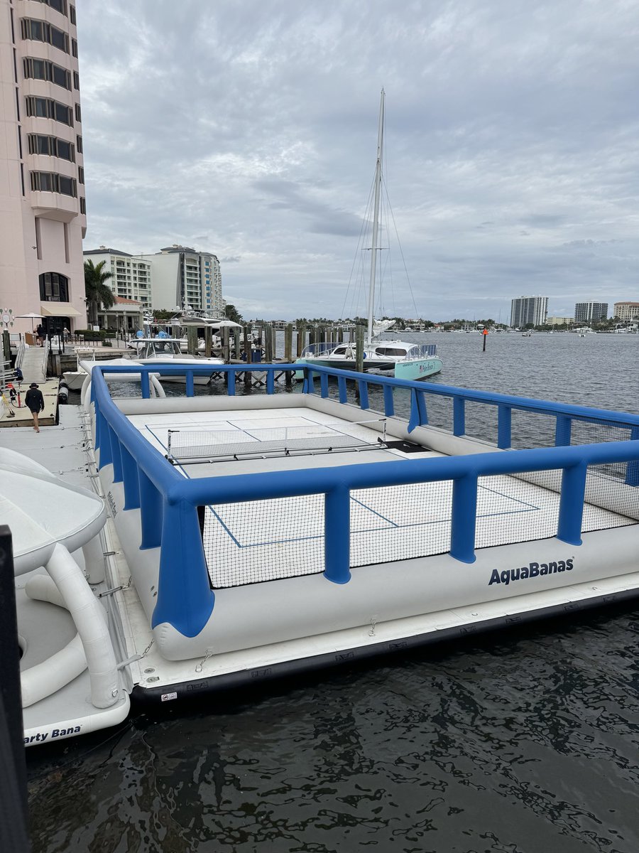 PickleDink tweet media