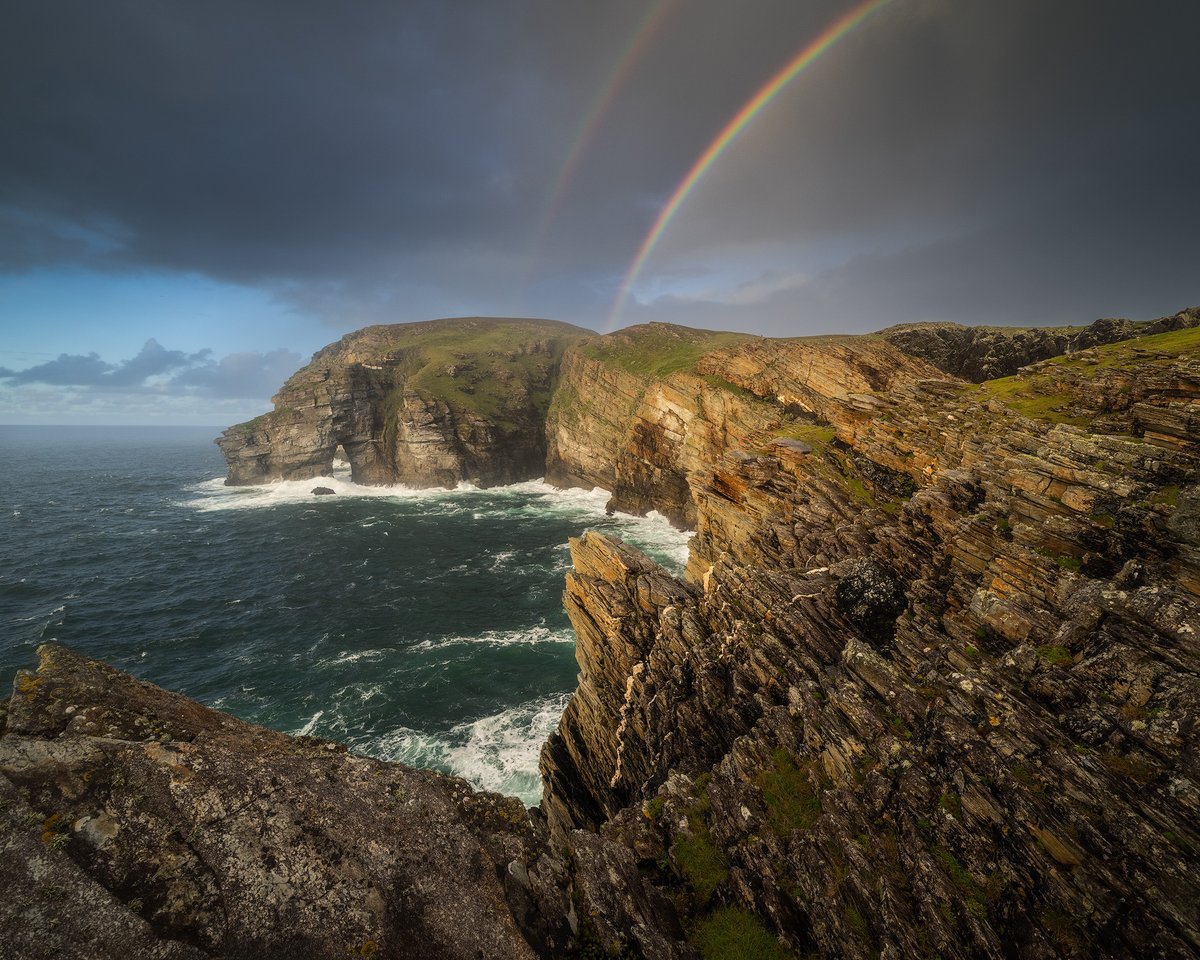 Michael Shainblum tweet media