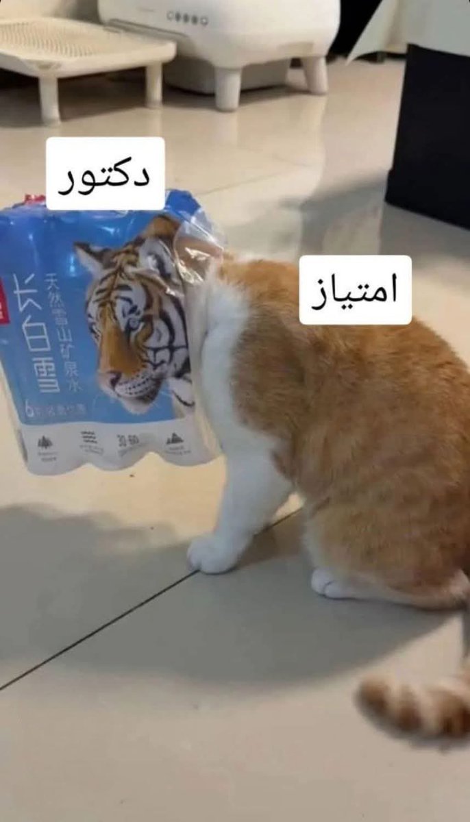 yarhhani's tweet photo. - نهايه أول أسبوع امتياز 
يوم نص رائع والنص ده عشان البيشنت قالي ان محسش بالبنج ( كان أول Nerve block ليا ع بيشنت* ) https://t.co/dAkzNf0g43