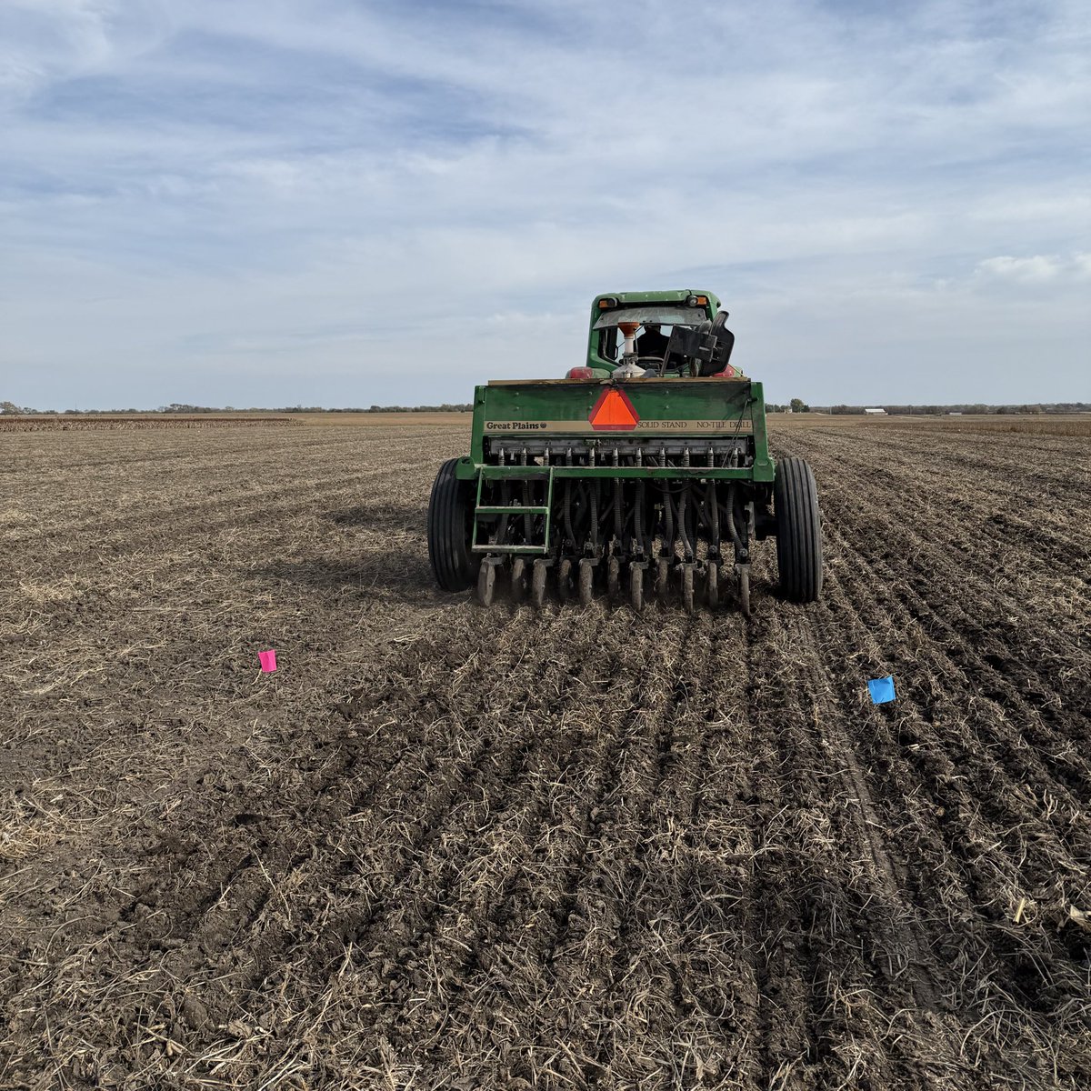 Rachel Cott tweet media