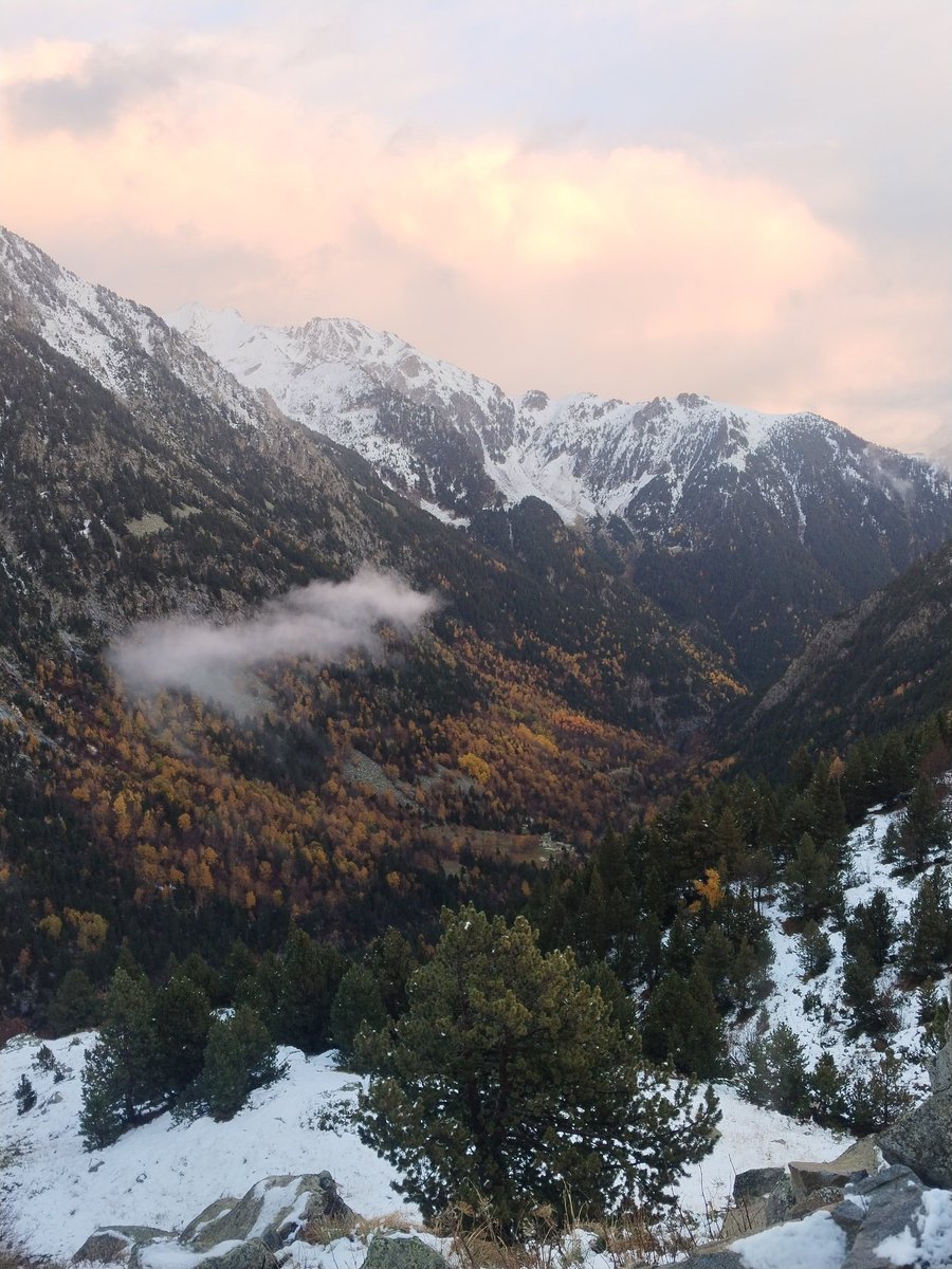 Alejandro Jiménez tweet media