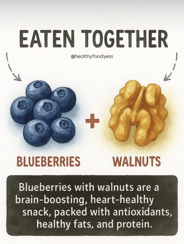 Blueberries + Walnuts 🫐
