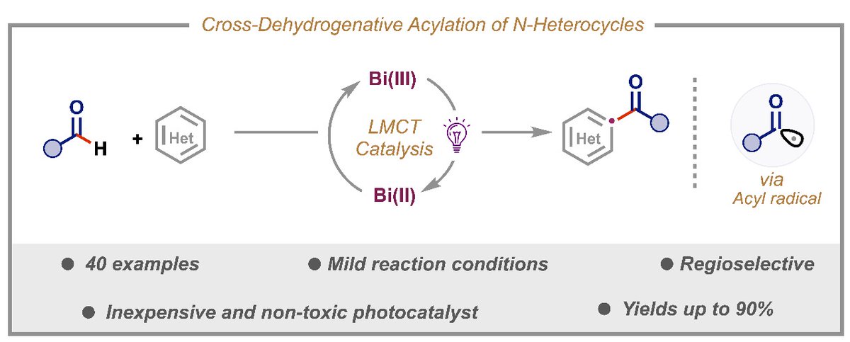 ignitedmind02's tweet photo. We report a streamlined protocol for the cross-dehydrogenative acylation of N-heterocycles, enabled by ligand-to-metal charge transfer (LMCT) on Bi(III).

To provide a comprehensive overview of the present work, the relevant link is enclosed herein.
https://t.co/UpEeDZjDdg https://t.co/7fBZiLHRw0