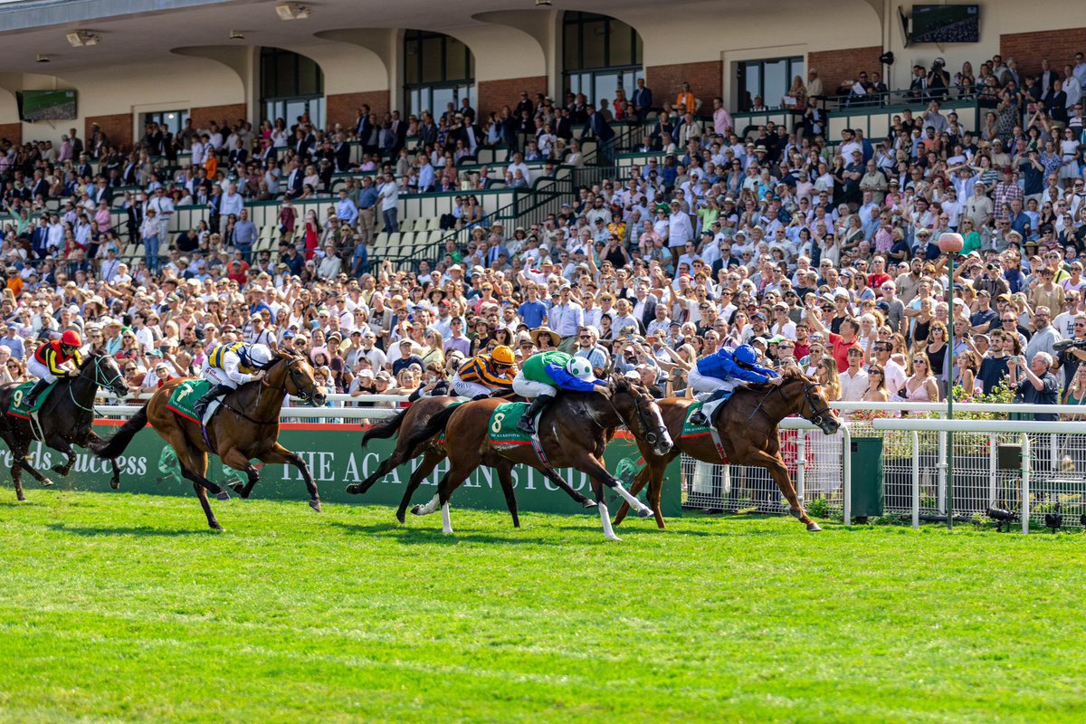 October at the National Stud:

🏆 Diego Velazquez joins our stallion roster
🔥 Kinross joins our Living Legends
✨ Stradivarius yearlings shine at Tattersalls
🏅 Six winners for Lope Y Fernandez
💰 Camelot x Aris sells for 300,000gns at Book 1
🥇 Homebred winners

#NationalStud