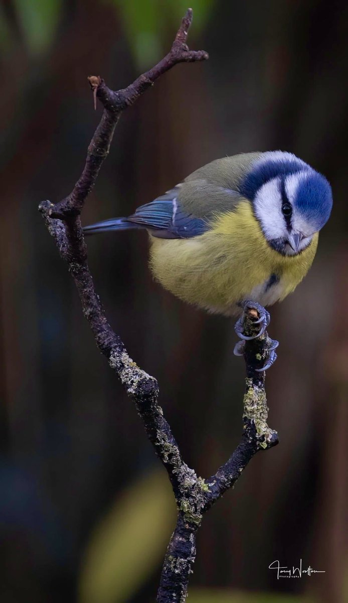 Looking a bit Cold out there today…