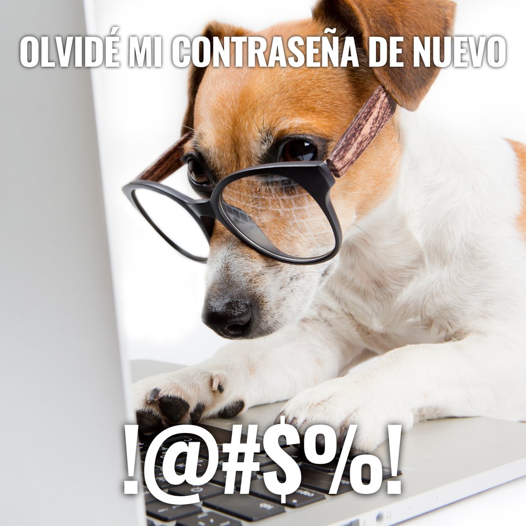 Memes Ecuador tweet media