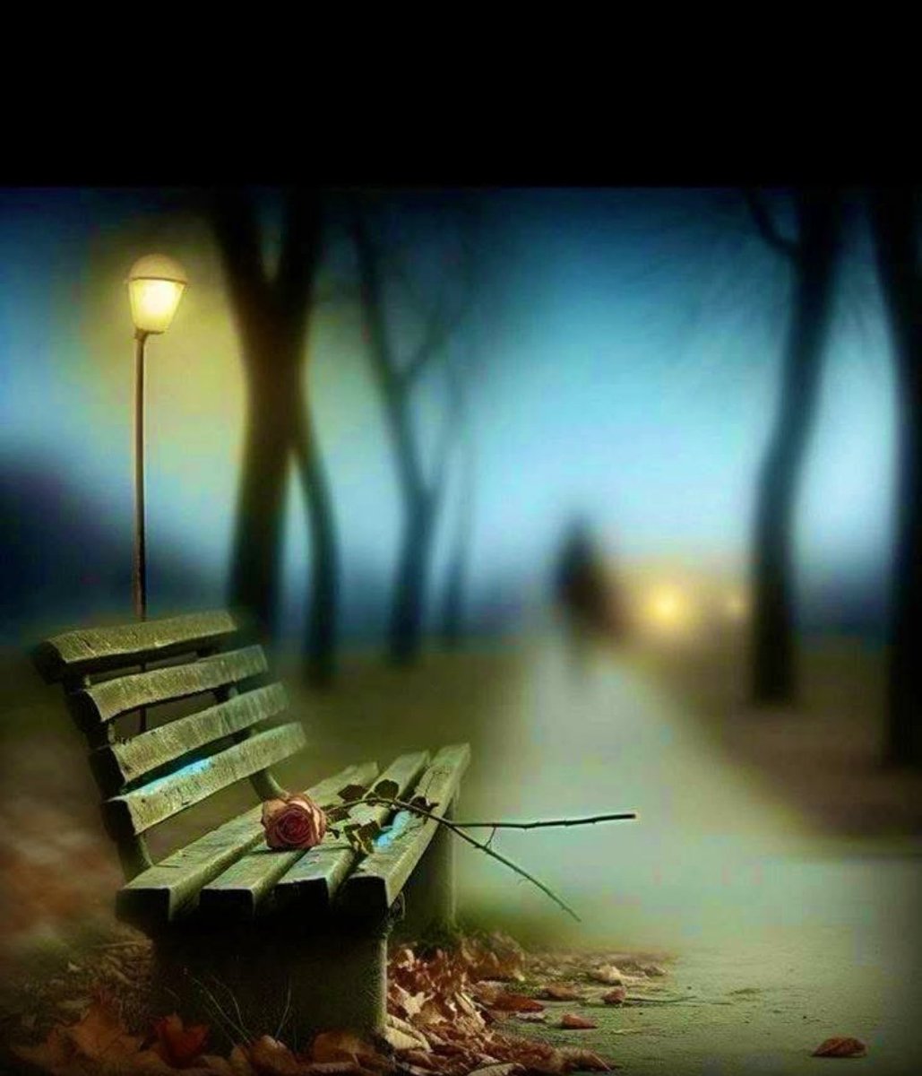 *

En ağır yük, içinde sakladığın kelimelerdir.

#Gece𑜞᭄