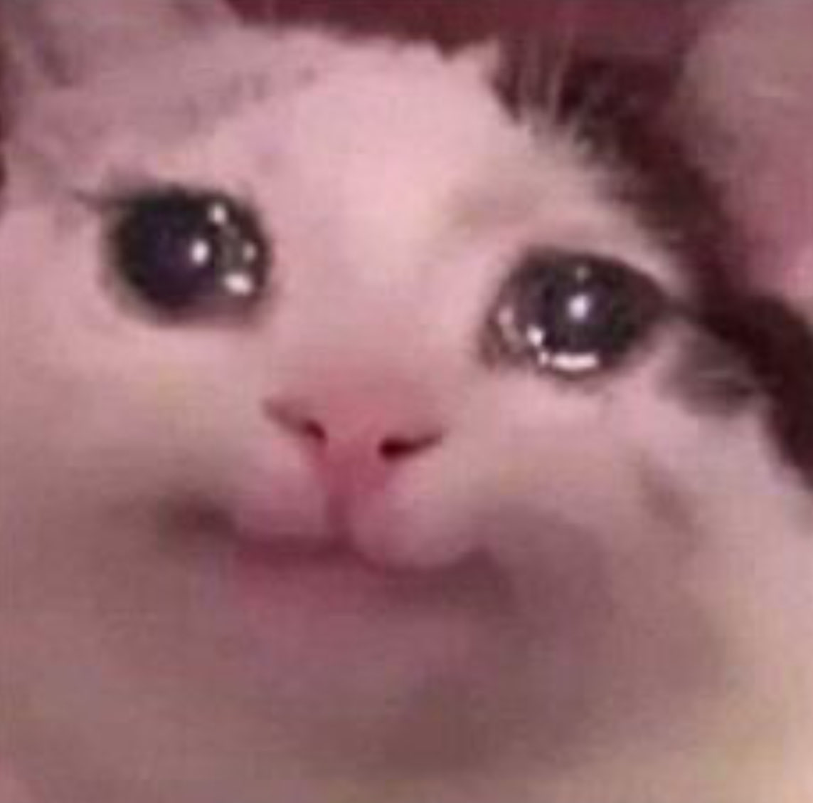 شلون بواجه الاسبوع الياي و أنا عندي مدتيرمين و كوزين