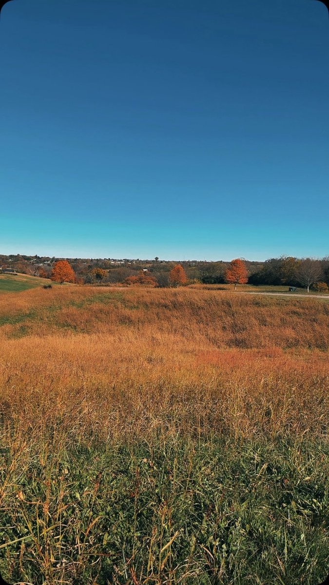 JoshBurnsTech's tweet image. Best time of the year