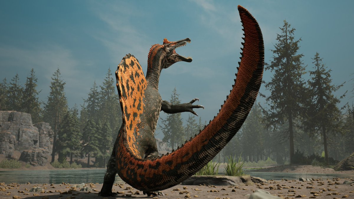 pathoftitans's tweet photo. This month marks Spinosaurus’s 110th anniversary since it was first described in 1915! The Spinosaurus stomped around on beaches up to 100 million years ago, and now amazes people with its striking sail and intimidating size.

What’s been your most memorable moment with the Spinosaurus?

#pathoftitans #dinosaurs #ilovedinosaurs #dinoversary #theropod #spinosaurus