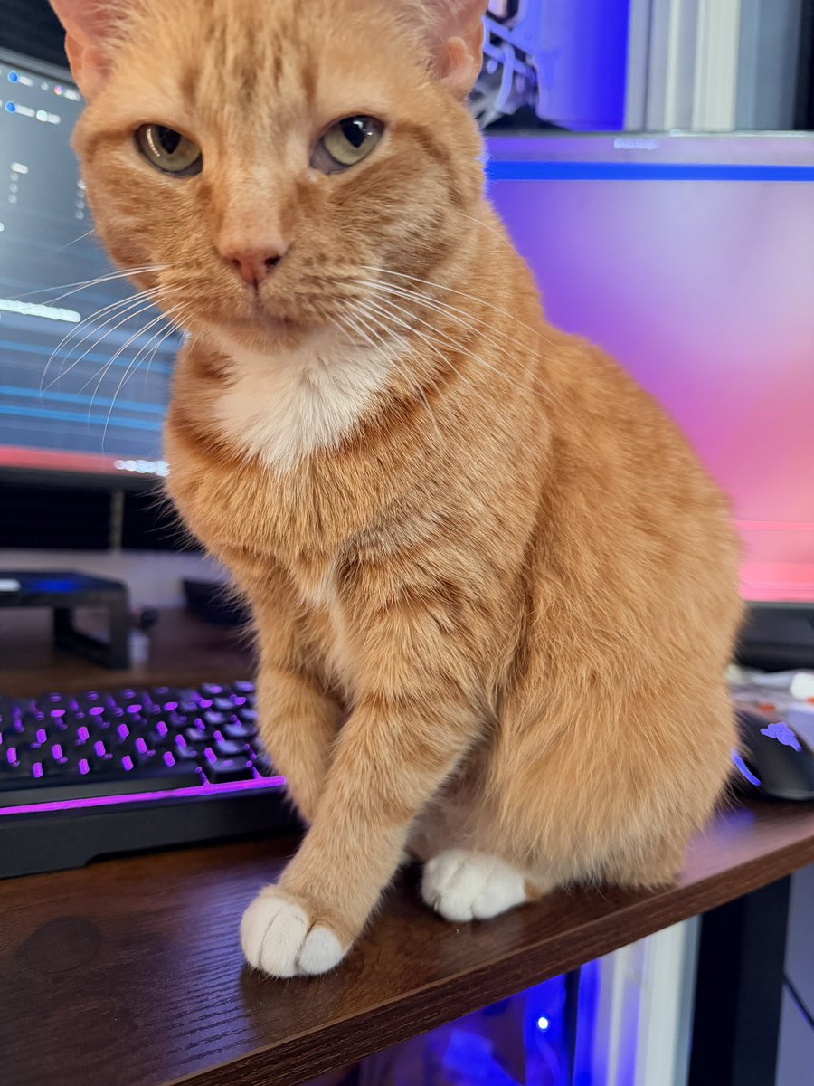 Josh Styles tweet media