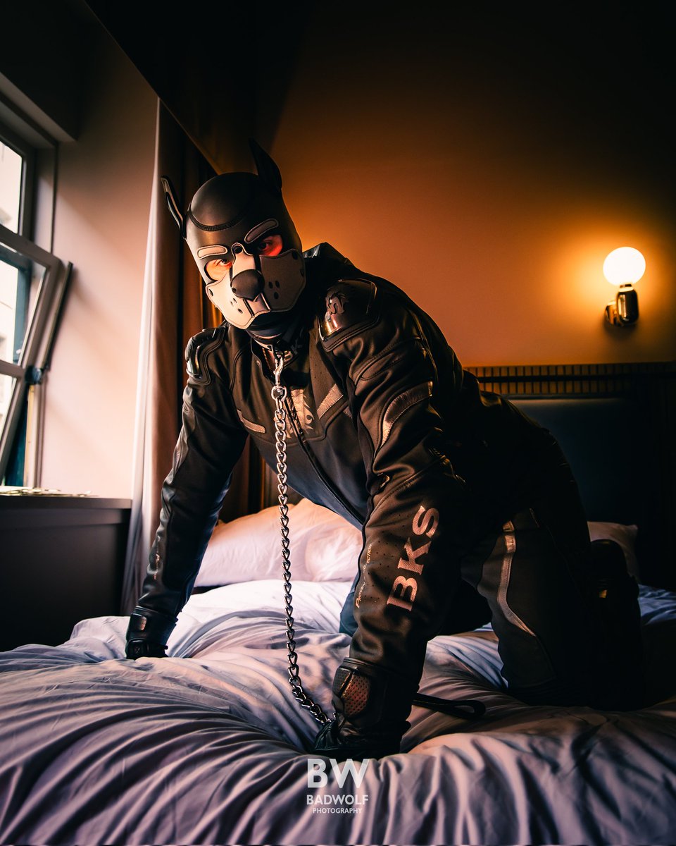 Would you let a wolf up on the bed? What if i promised not to bite?... what if i lied about the biting part?