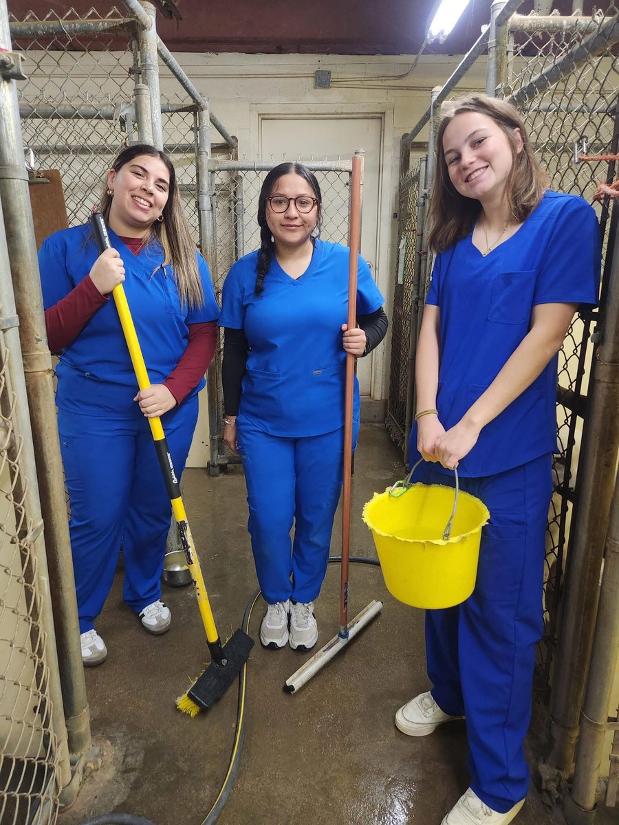 CTE_TISD's tweet image. Proud of these student who work hard at Animal Medical Care gaining skills that lead to a bright future!  Thank you Sarah Barr and Animal Medical Care for pouring time and wisdom into our students. It truly is a game changer! #learnatwork