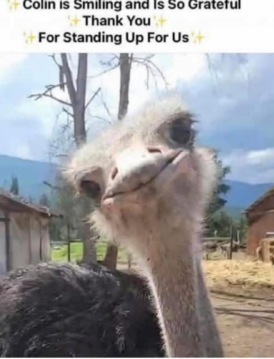 Shaughn.SGT(ret) tweet media