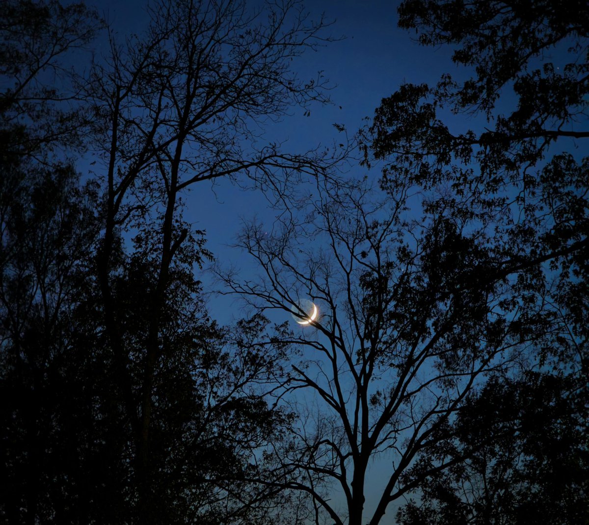 gardenofcolours's tweet image. 