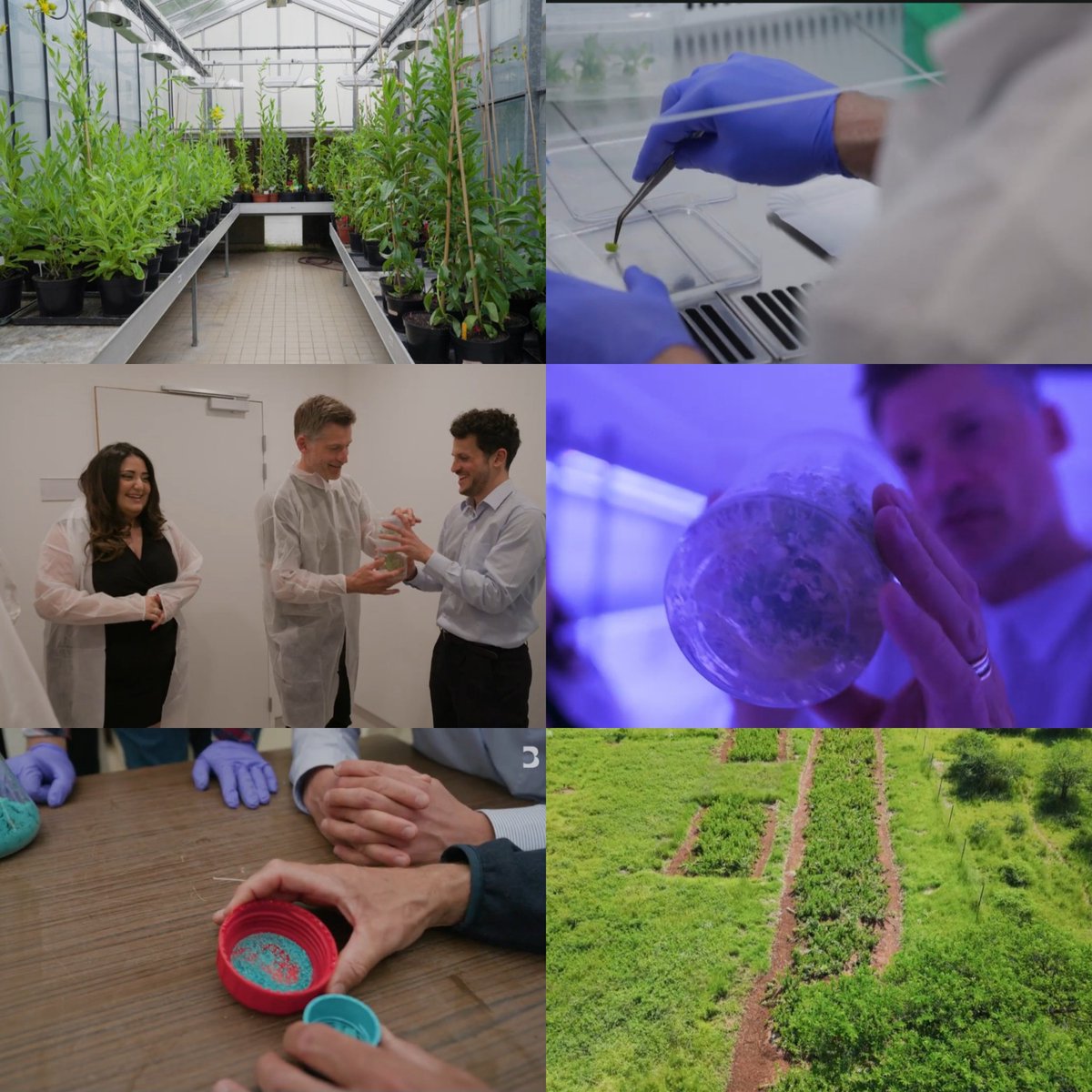 NinaNorlund's tweet image. It was very interesting to learn more about what Paebble in Rotterdam &amp;amp; Genomines in Paris are doing to build a more sustainable future through innovation &amp;amp; science 

&quot;Innovation &amp;amp; science is also what gives you hope &amp;amp; reason for optimism&quot;

#AnOptimistsGuideToThePlanet 💚