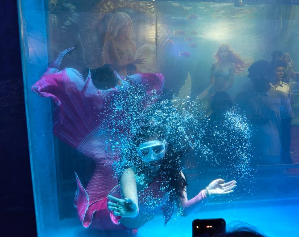 #Cuttack #Odisha #Baliyatra