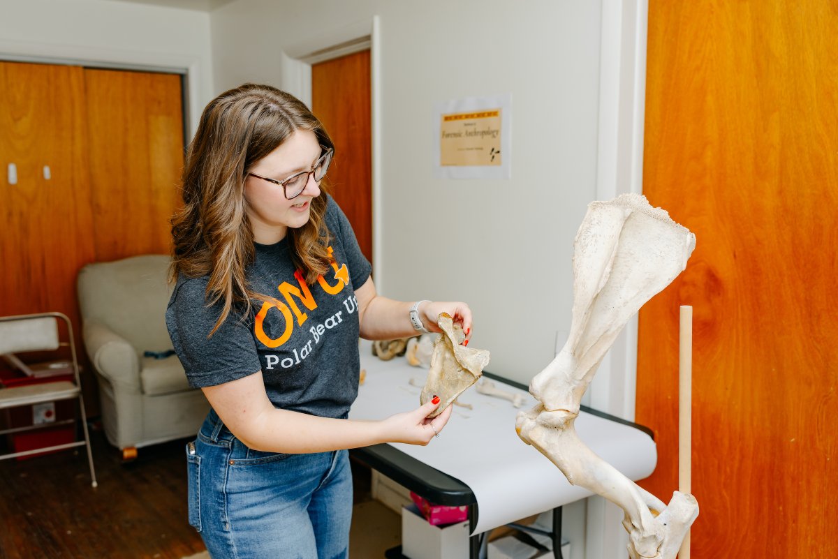 Ohio Northern Univ. tweet media