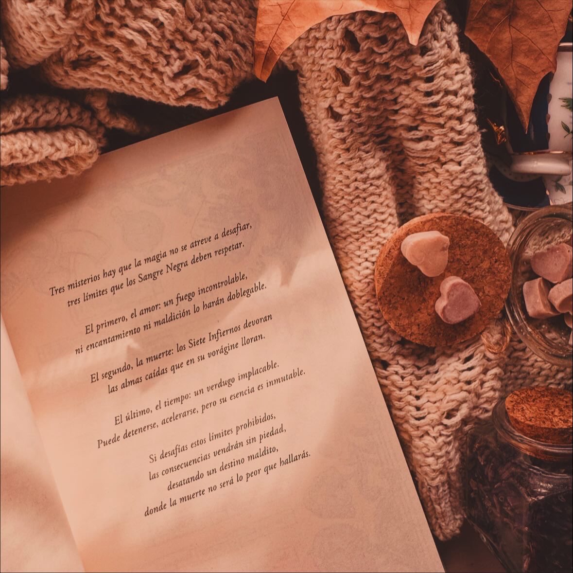 FiebreLectora's tweet image. Un final perfecto para una trilogía llena de fantasía 🖤✨

Reseña: fiebrelectora.blogspot.com/2025/10/resena… @Puck_ed