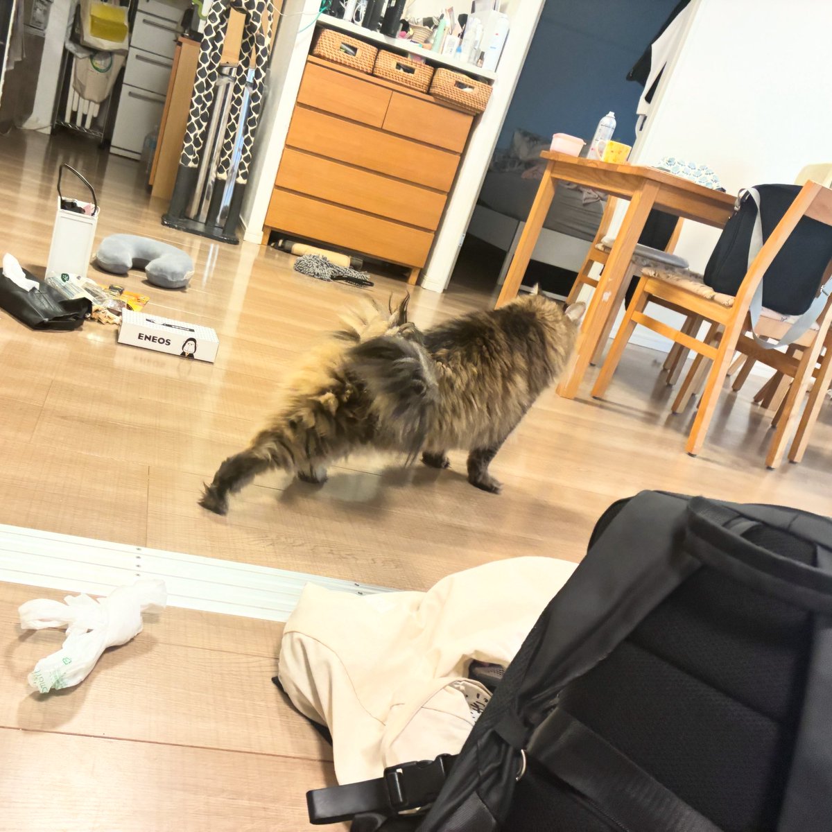 ちゃあとあお (@y8852becNnIpix1) / Posts and Replies / X