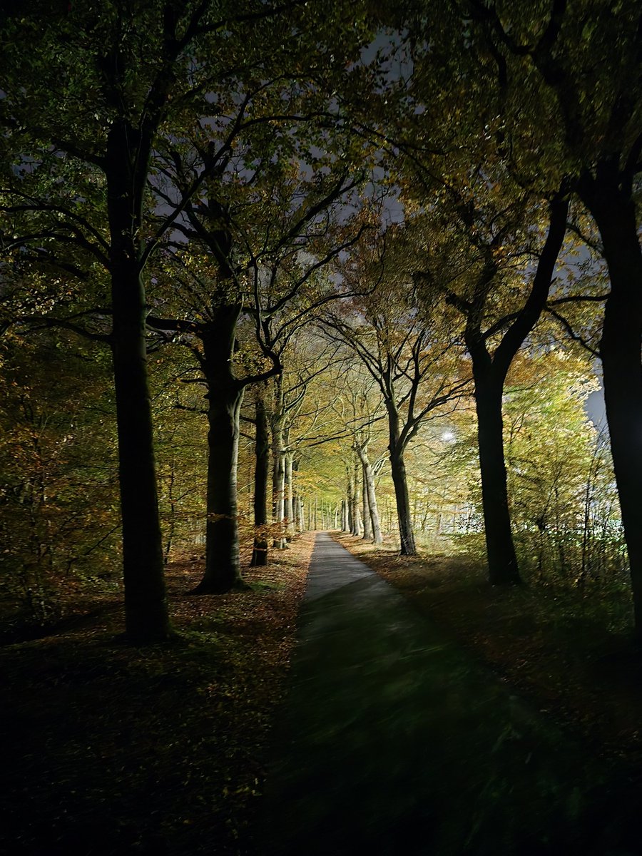 Walking for  #NOV3MB3R challenge

Picked up some trash, snapped with <a href="/cleanify_vet/">Cleanify</a>
Steps are counted for by <a href="/ST3PR_VET/">ST3PR</a> 

Having some off screem time with <a href="/Restify_App/">Restify App</a>.

Ready for <a href="/Thorheads/">Thorhead</a> space &amp; have a great sleep 2 earn after <a href="/B3DTIME_VET/">B3DTIME</a>

 <a href="/vechainofficial/">VeChain</a> &amp; <a href="/vechaincreators/">Creators</a>