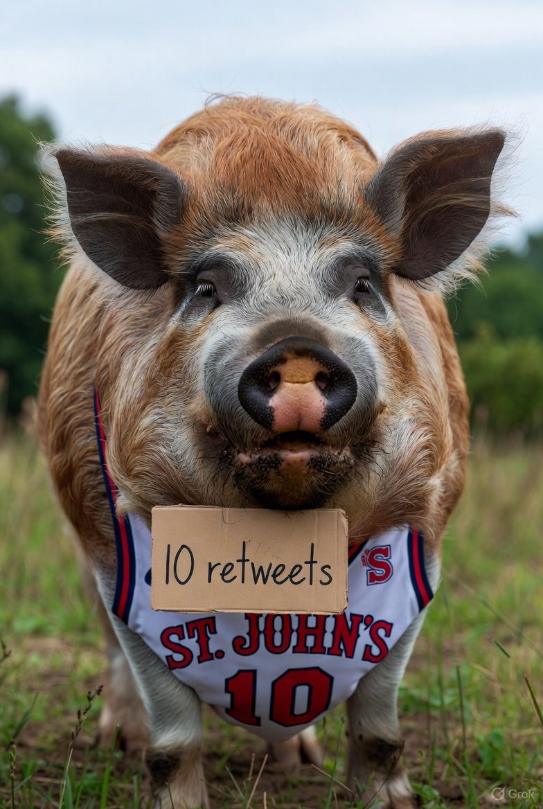 StormHogs's tweet image. Hmmm…. #stormhogs #sjubb