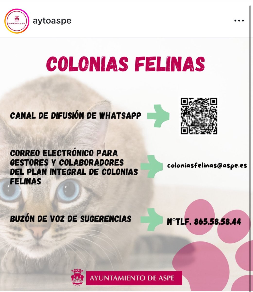 Las personas colaboradoras disponen ahora de un contacto directo con la Unidad de
Coordinación 865 58 58 44