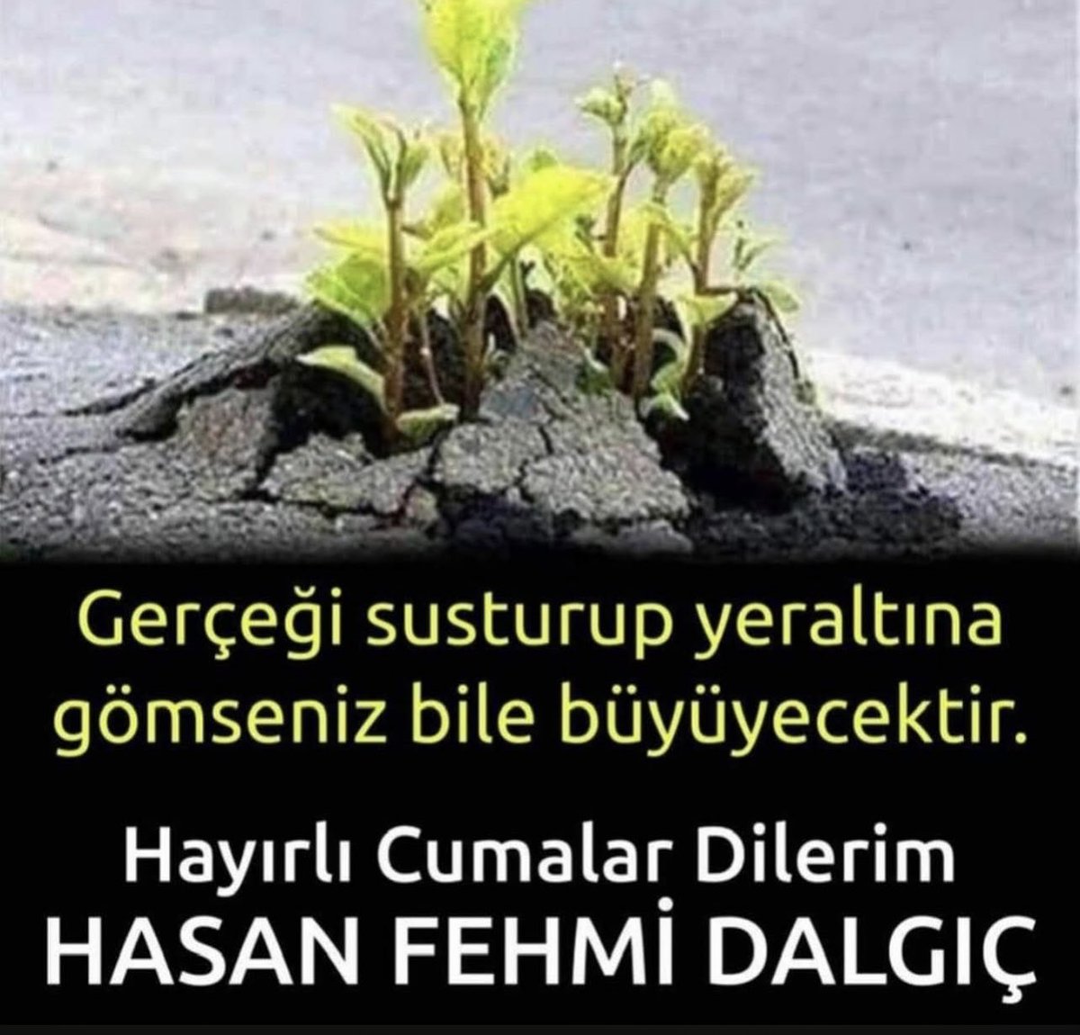 Hasan Fehmi Dalgıç (@hfehmidalgic) on Twitter photo 