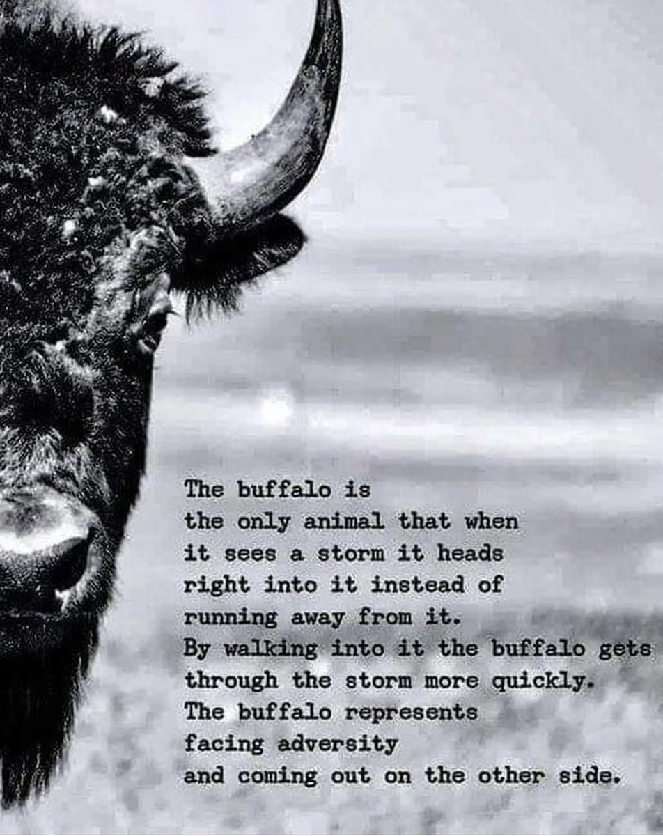 MILBY MENTALITY

BUFFS VS EVERYBODY