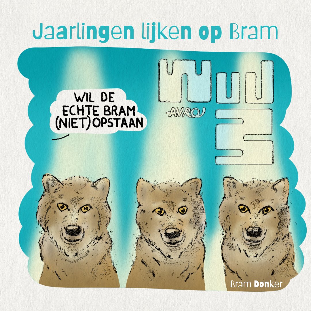 BramDonker66317's tweet photo. WIE VAN DE 3
Het is een lastige klus om wolf Bram te identificeren, omdat er twee jaarlingen zijn die erg op hem lijken.
Wat zullen de jagers balen 🤣
#wolfbram #natuur #natuurbescherming #dentreek #illustratie #utrechtseheuvelrug
@WolveninUtrecht @faunabeschermin https://t.co/dtsVTMaZGY