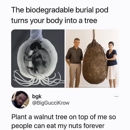 TeddyFreeman (@teddyfreeman9) on Twitter photo 