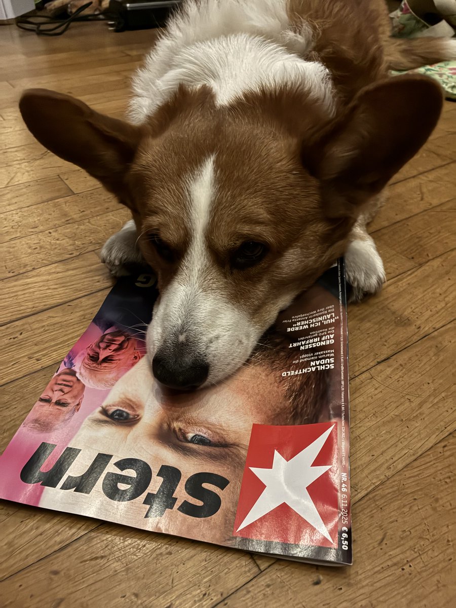 #GeorgeliebtPrint - heute der „stern“