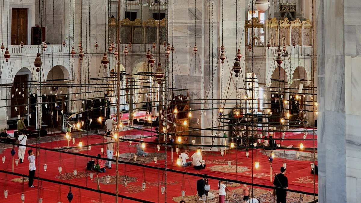 fatih mosque and its cats, istanbul, turkiye. 🐈