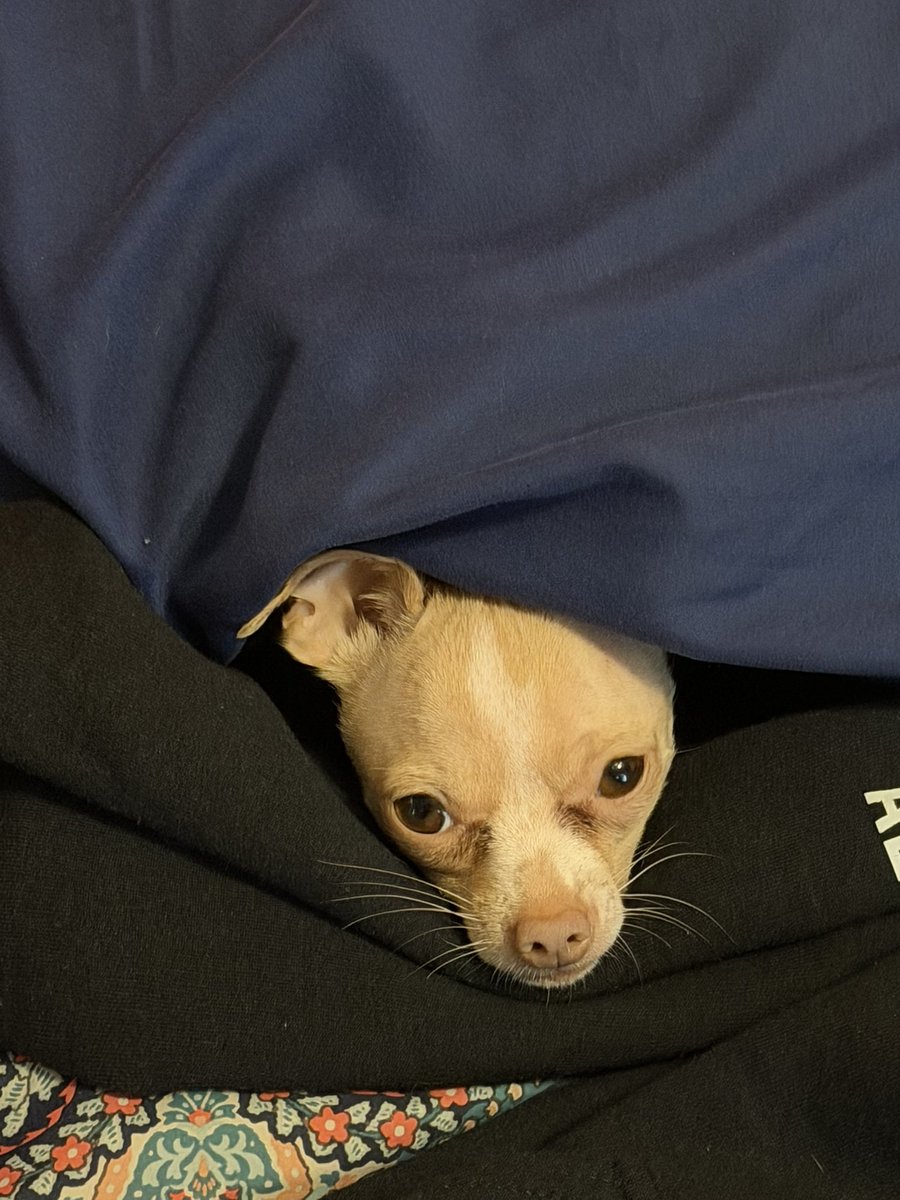 My little helper while I put laundry away.