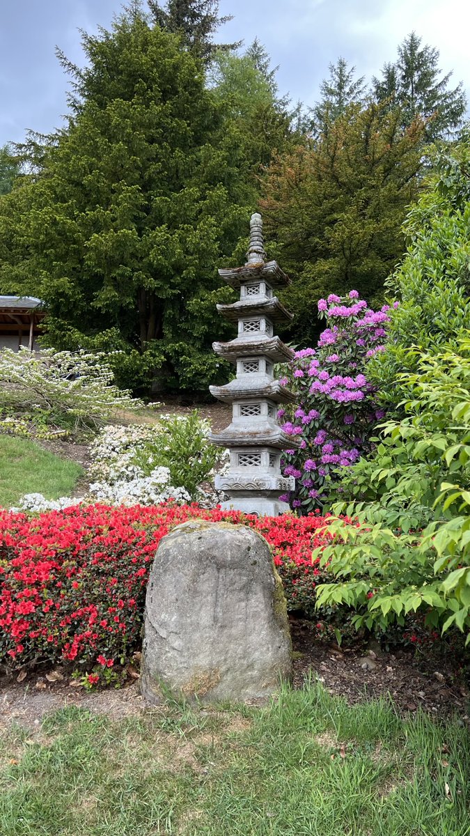KinlochSusan's tweet photo. Japanese garden #cowden #dollar #scotland 🏴󠁧󠁢󠁳󠁣󠁴󠁿 https://t.co/STPMwDkcph