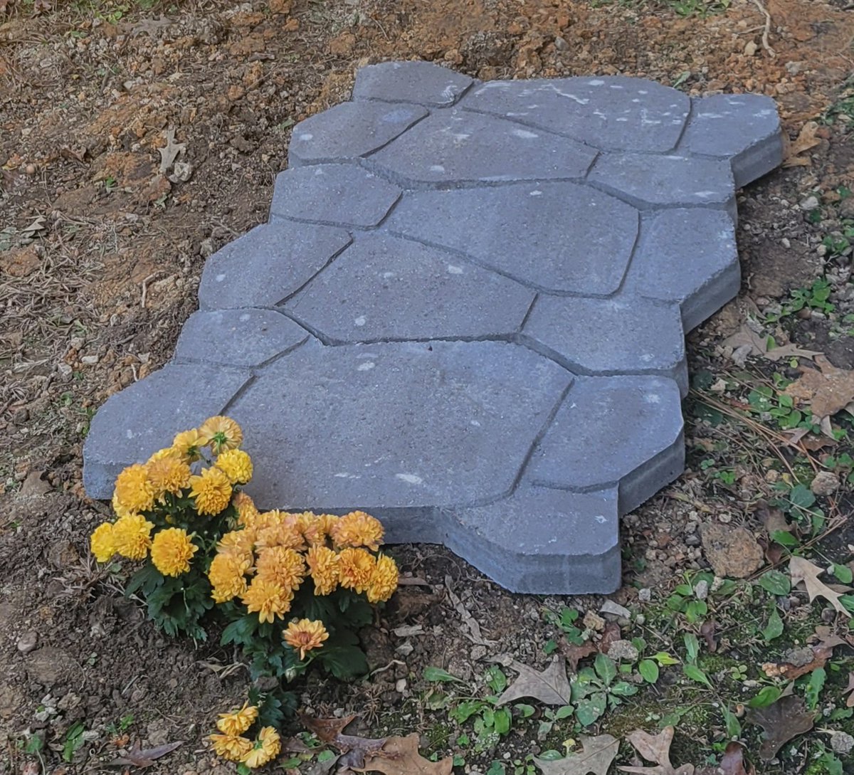 Norn-Queen Kya tweet media