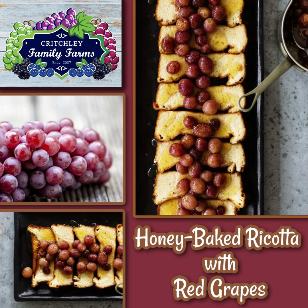 Elevate snack time with this elegant treat: fresh California grapes from Critchley Family Farms roasted to perfection and paired with creamy ricotta and a drizzle of honey—simple, stylish, and oh-so-delicious.
#CritchleyFamilyFarms #CaliforniaGrapes 
critchleyfamilyfarms.com/recipes/honey-…