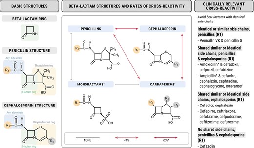 ABsteward's tweet image. Cross-reactivity of beta-lactams. 
A review of the beta-lactam cross-reactivity patterns based on key pharmacological structures and known clinical cross-reactivity #IDXposts