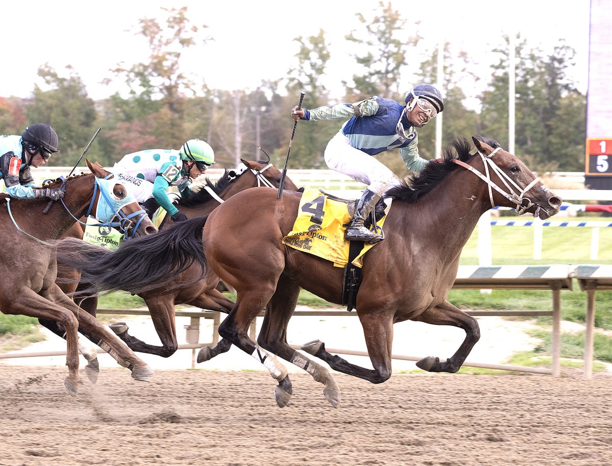 👉 Jim McKay Maryland Million Heroes Back in Saturday Stakes Action

👉 Slewperstitus faces open foes in Smart Halo Stakes

👉 Read more: laurelpark.com/news/jim-mckay…