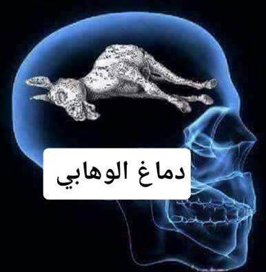 حسن الكعبي | H𝕒𝕤𝕤𝕒n A𝕝𝕜𝕒𝕒𝕓i tweet media